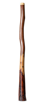 Wix Stix Didgeridoo (WS368)